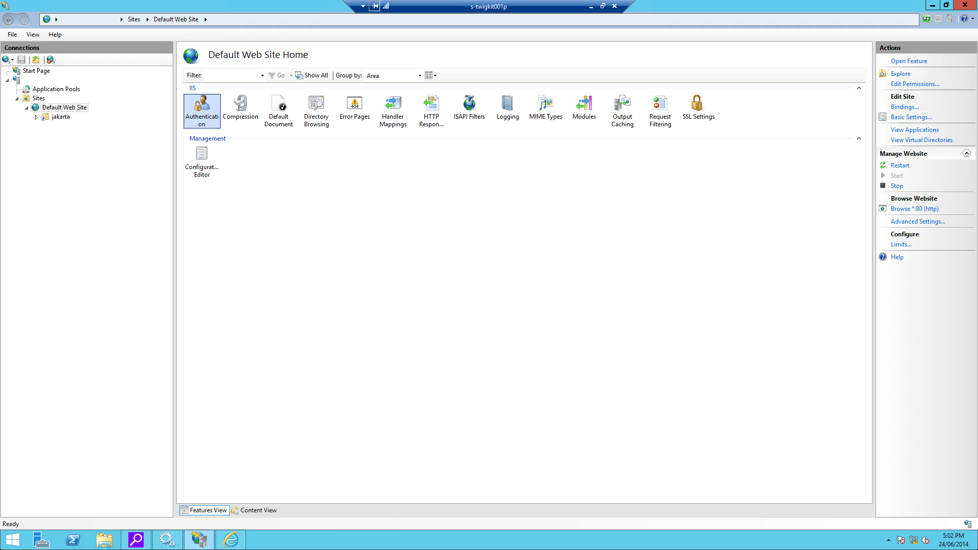 IIS screenshot