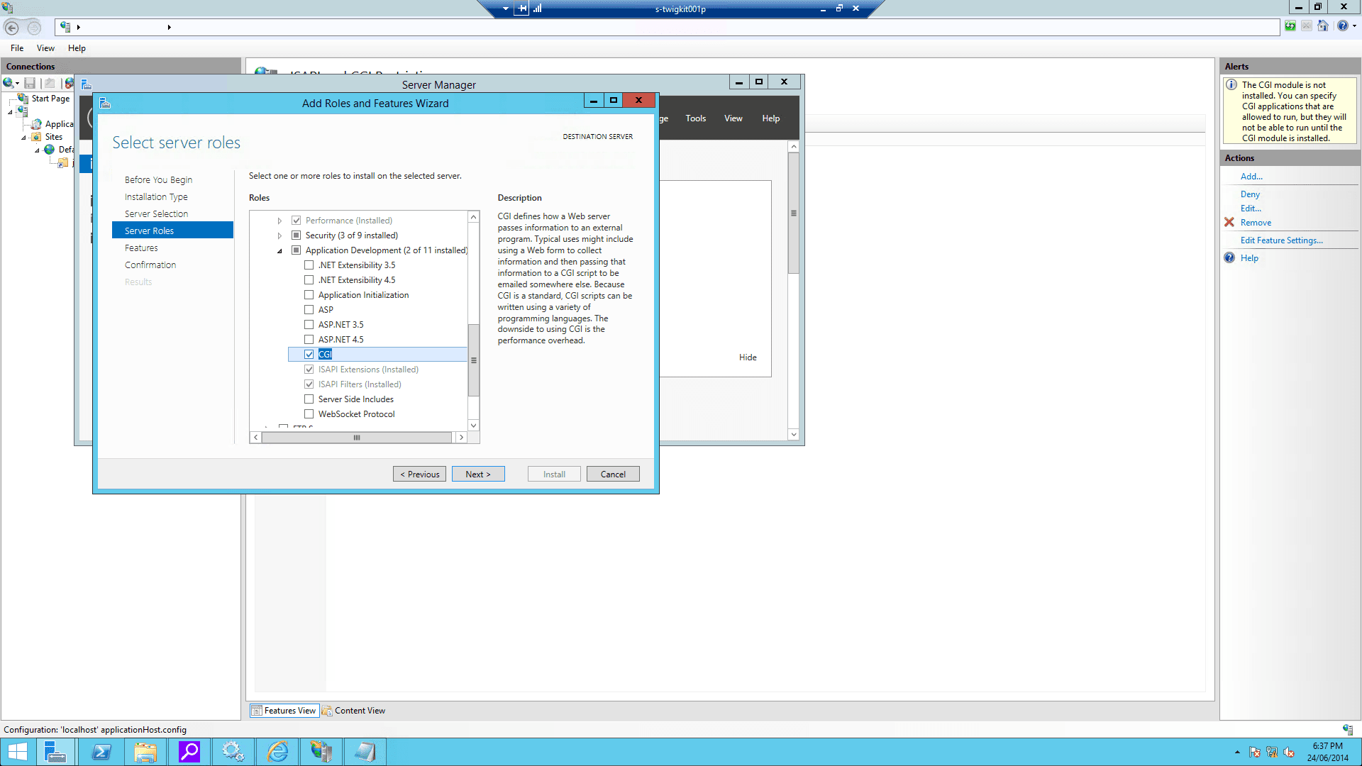 CGI filtering on the IIS
